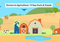 An analysis of the use of drones in agriculture