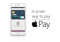 Apple Pay usage trends