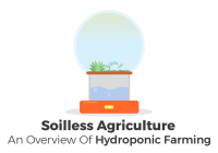 An analysis of hydroponic farming